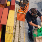 Why Your Import Customs Clearance Gets Delayed? The Top 5 Causes.